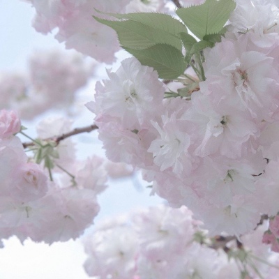 兽设雨夜场景创作Furry群